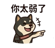 843263741