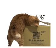 843263890