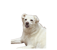 843263895