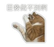 843263896