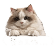 843264046