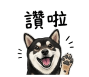 843264684