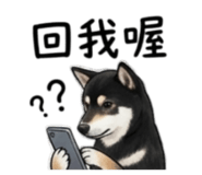 843264686