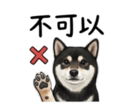 843264688