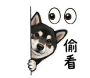 843264690