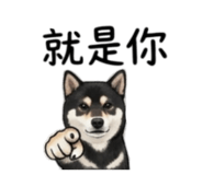 843264695
