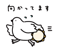 843265535