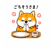 843266251
