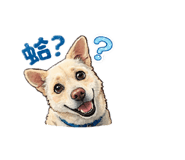 843267781