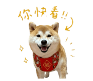 843267866