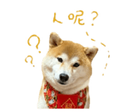 843267867