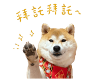 843267868