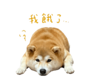 843267871