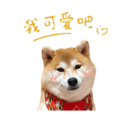 843267872