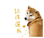843267874