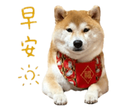 843267875