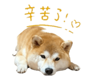 843267876