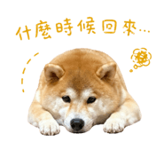 843267878