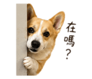 843268186