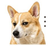 843268189