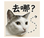 843269526