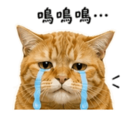 843270015