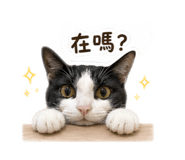 843273204