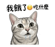843273343