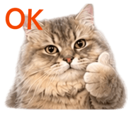 843274107
