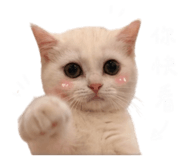 843274162
