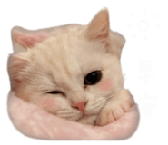 843274163