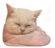 843274173