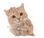 843274175