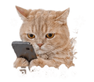 843274179
