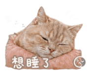 843274180