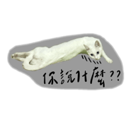 843274249