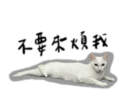 843274256