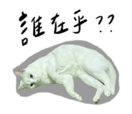 843274263