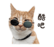 843274328