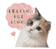 843274602
