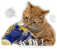 843274622