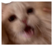 843274959