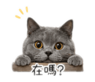 843275015