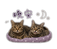 843275374
