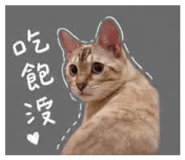 843275609