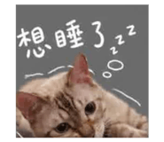843275611