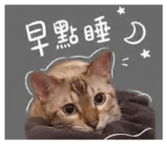 843275615