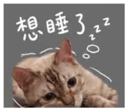 843275617