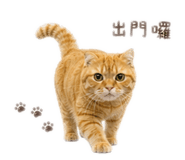 843275854