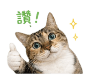 843276110